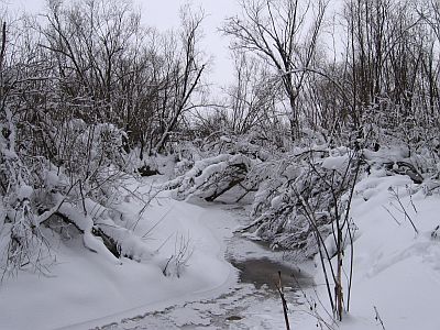 Frozen stream.